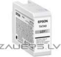 Epson 1LB Singlepack Light Gray T47A9