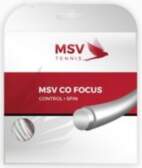 MSV Co. Focus (12 m) -