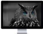 Natec NFP-1476 Privacy Filter RODO