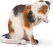 Schleich - Cat Grooming