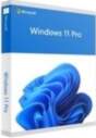 Microsoft SW RET WIN 11 PRO