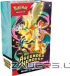 Pokémon Pokemon - TCG Mega Evolution