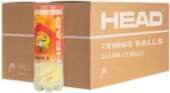 Head Stage 2 Orange - 24