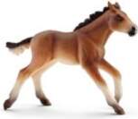Schleich - Mustang Foal