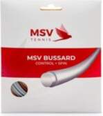 MSV Bussard (12 m) - silver