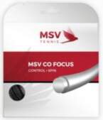 MSV Co. Focus (12 m) -