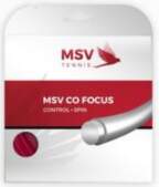 MSV Co. Focus (12 m) -