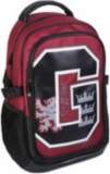 Cerda - Harry Potter Backpack Casual