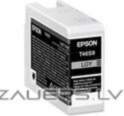 Epson 1LB Singlepack Light Gray T46S9