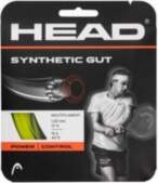 Head Synthetic Gut (12m)