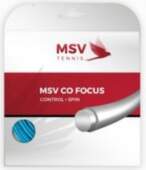 MSV Co. Focus (12 m) -
