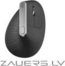 Logitech MOUSE USB OPTICAL WRL MX