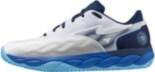 Mizuno Wave Enforce Court CC