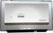 BOE LCD Screen 17.3" 1920x1080