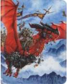 Dragon shield Art Zipster - The