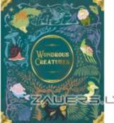 Bad comet Wondrous Creatures
