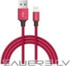 Devia Pheez series USB-C TO Lightning
