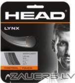Head Lynx