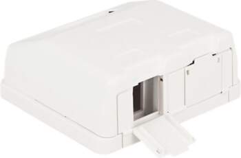 Delock Keystone Surface Mounted Box -
