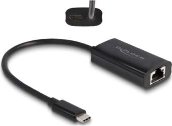Delock - network adapter - Thunderbolt