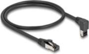 Delock patch cable - 0.5