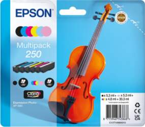 Epson 250 Multipack - 6-pack -