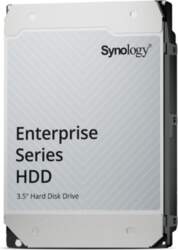Synology - hard drive - Enterprise