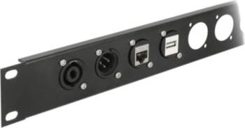 Delock D-Type Module USB 2.0