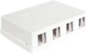 Delock Keystone Surface Mounted Box -