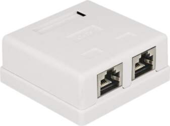 Delock Modular Wall - surface mount