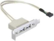 Delock Slot bracket - USB cable