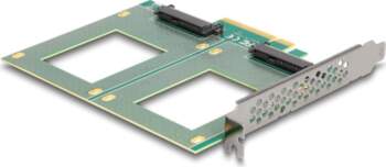 Delock - storage controller - bifurcation