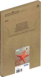 Epson 603 Multipack Easy Mail Packaging
