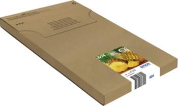 Epson 604 Multipack Easy Mail Packaging