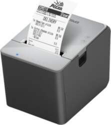 Epson TM L100 (103) - receipt