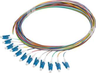 Lanberg pigtail - 2 m -