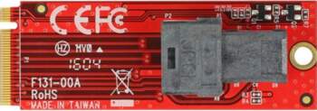 Delock - interface adapter - SAS