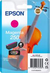 Epson 250 - magenta - original