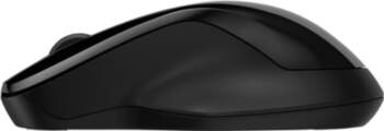 HP Inc. HP 250 - mouse