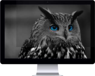 Natec OWL display privacy filter -