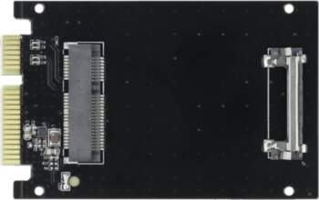Delock - interface adapter - mSATA