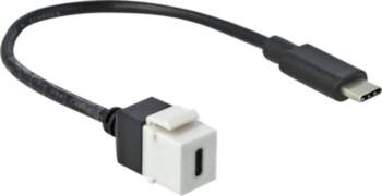 Delock - USB-C cable - USB-C