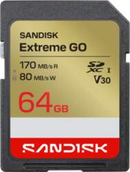 SanDisk Extreme Go - flash memory