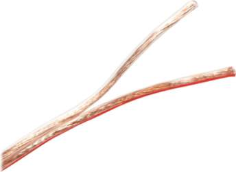 2direct LogiLink speaker cable - 100