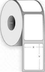 Capture - labels - 11456 label(s)