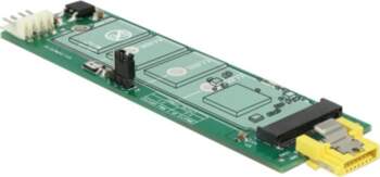 Delock - interface adapter - M