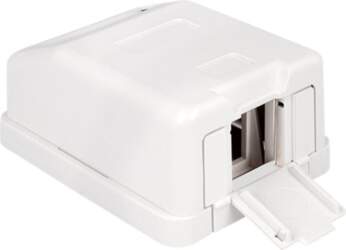 Delock Keystone Surface Mounted Box -