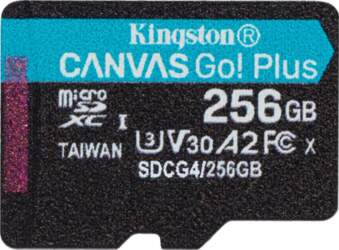 Kingston Canvas Go! Plus - flash