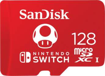 SanDisk - flash memory card -