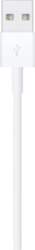 Apple Lightning cable - Lightning /